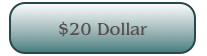 $20 Dollar
